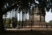 indonesia_5912.jpg