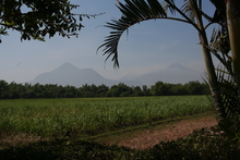 indonesia_5978.jpg