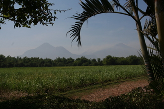 indonesia_5978.jpg