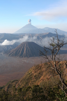 indonesia_5988.jpg