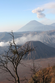 indonesia_5990.jpg