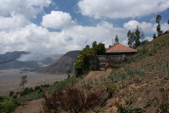 indonesia_6003.jpg