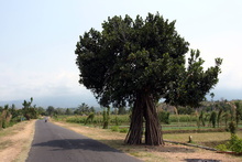 indonesia-lombok-034.jpg