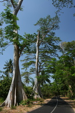 indonesia-lombok-041.jpg