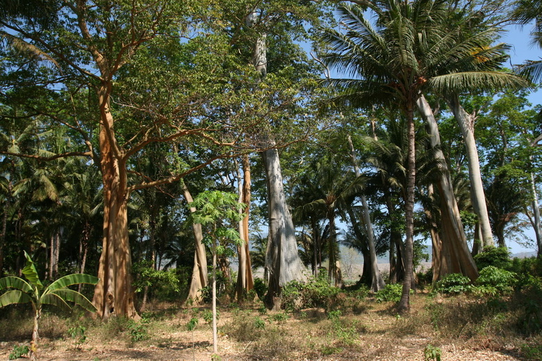 indonesia-lombok-042.jpg