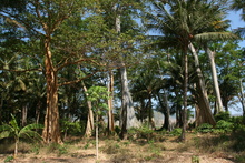 indonesia-lombok-042.jpg