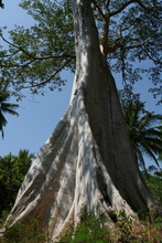 indonesia-lombok-043.jpg
