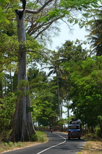 indonesia-lombok-044.jpg