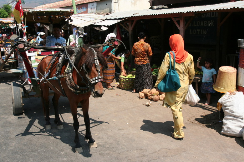 indonesia-lombok-048.jpg