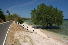 indonesia-sumbawa-016.jpg