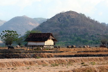 indonesia-sumbawa-017.jpg