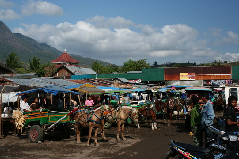 indonesia-sumbawa-022.jpg