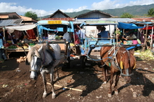 indonesia-sumbawa-023.jpg