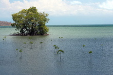 indonesia-sumbawa-034.jpg