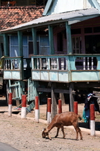 indonesia-sumbawa-037.jpg