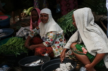 indonesia-sumbawa-058.jpg