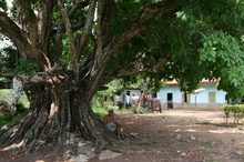indonesia-flores-004.jpg