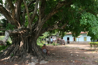 indonesia-flores-004.jpg