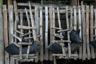 indonesia-flores-016.jpg