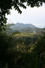 indonesia-flores-025.jpg