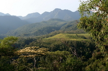 indonesia-flores-027.jpg