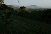 indonesia-flores-030.jpg