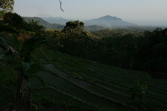 indonesia-flores-030.jpg
