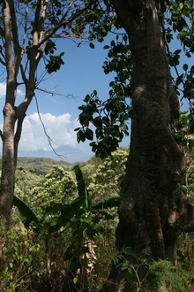 indonesia-flores-032.jpg