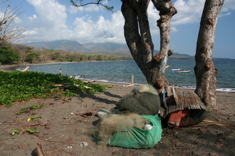 indonesia-flores-034.jpg