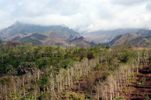 indonesia-flores-039.jpg
