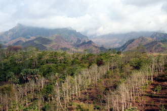 indonesia-flores-039.jpg