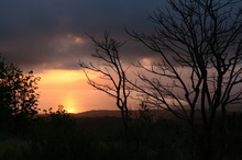 indonesia-flores-040.jpg
