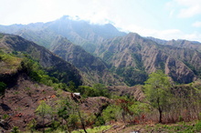 indonesia-flores-045.jpg