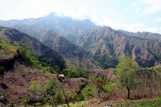 indonesia-flores-045.jpg