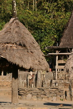 indonesia-flores-053.jpg