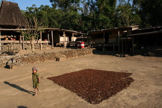 indonesia-flores-060.jpg