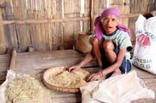 indonesia-flores-069.jpg