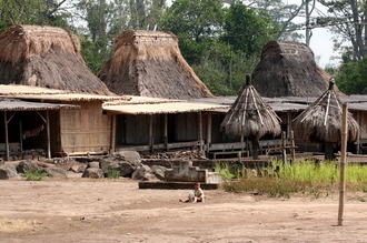 indonesia-flores-077.jpg