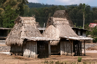indonesia-flores-078.jpg