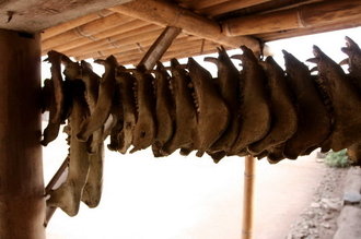 indonesia-flores-079.jpg