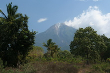 indonesia-flores-081.jpg
