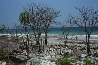indonesia-flores-082.jpg