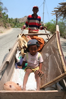 indonesia-flores-085.jpg