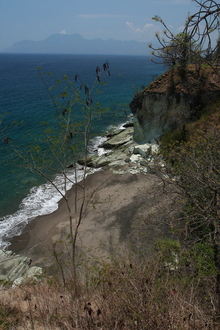 indonesia-flores-091.jpg