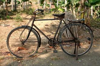 indonesia-flores-107.jpg