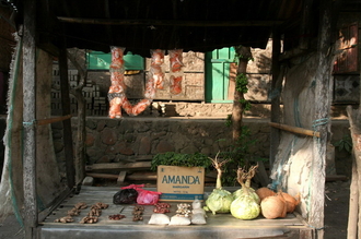 indonesia-flores-120.jpg