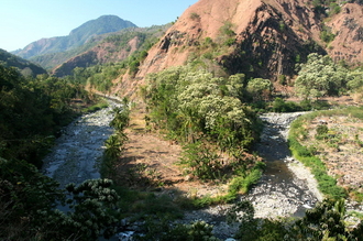indonesia-flores-122.jpg