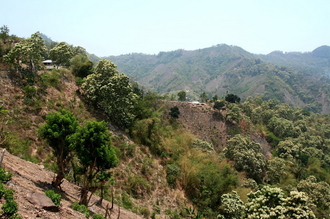 indonesia-flores-135.jpg