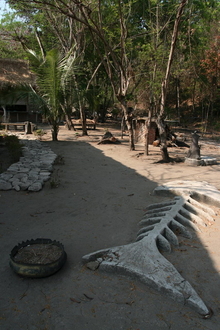 indonesia-flores-137.jpg