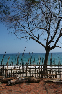 indonesia-flores-139.jpg